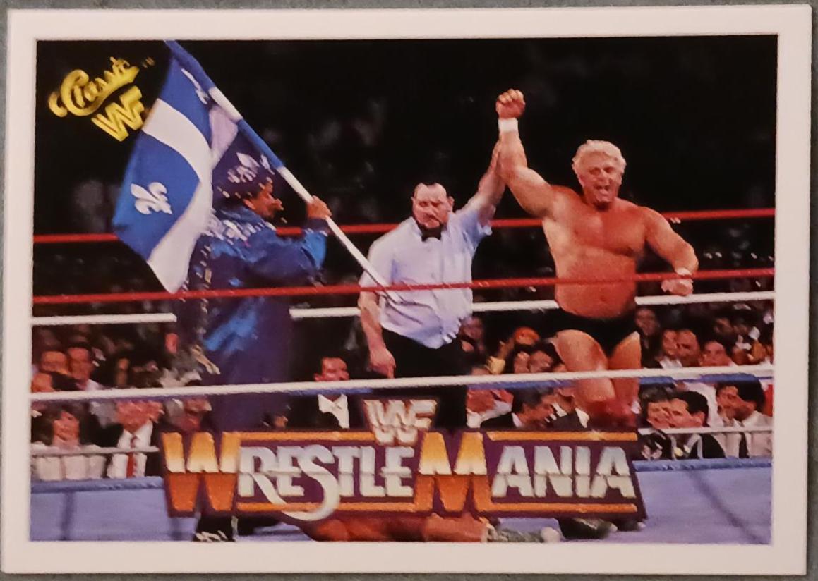 Dino Bravo, Ronnie Garvin #93