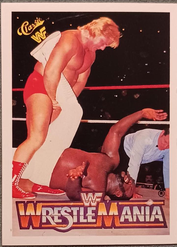 Greg 'The Hammer' Valentine, Junk Yard Dog #1