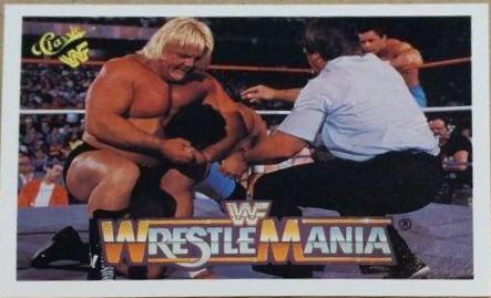 Greg Valentine #10