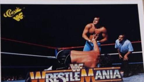 Honky Tonk Man, Jake 'The Snake' Roberts #24