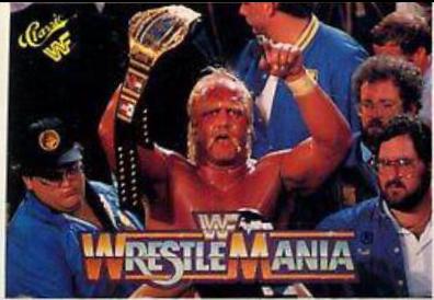 Hulk Hogan #11