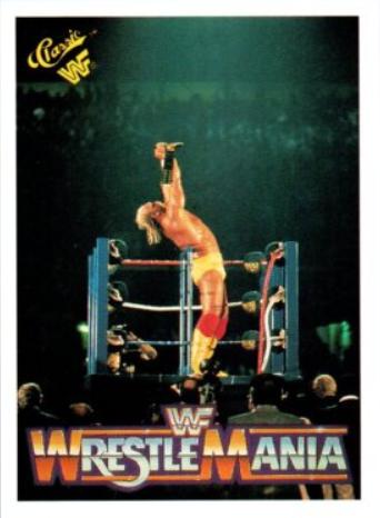Hulk Hogan #26