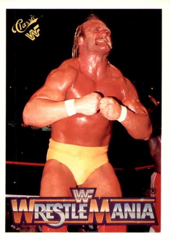 Hulk Hogan #3