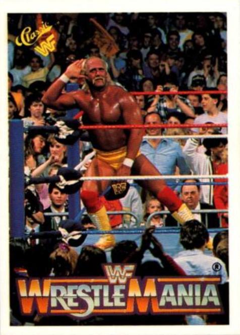 Hulk Hogan #40