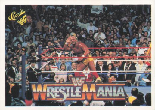 Hulk Hogan #41
