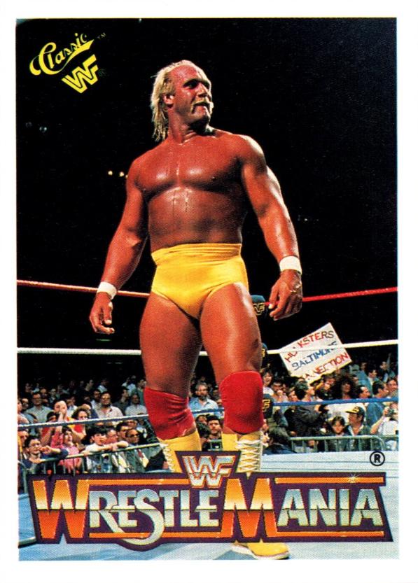Hulk Hogan #51