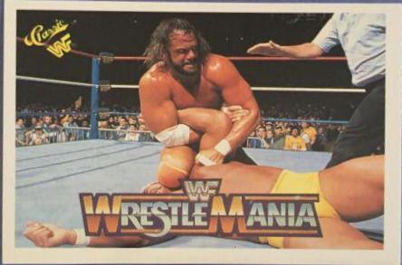 Hulk Hogan, 'Macho Man' Randy Savage #101