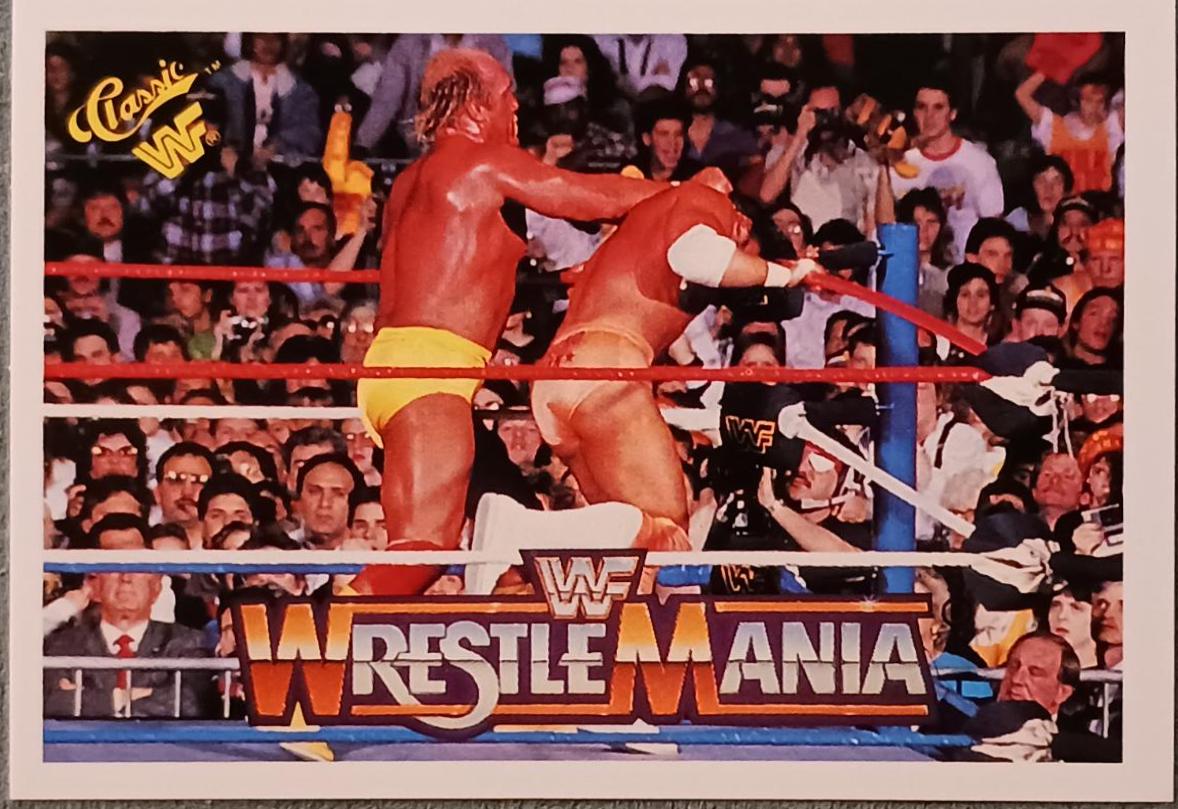 Hulk Hogan, 'Macho Man' Randy Savage #94