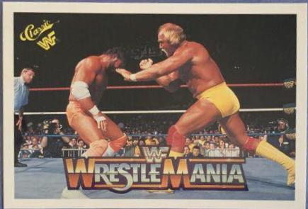 Hulk Hogan, 'Macho Man' Randy Savage #95