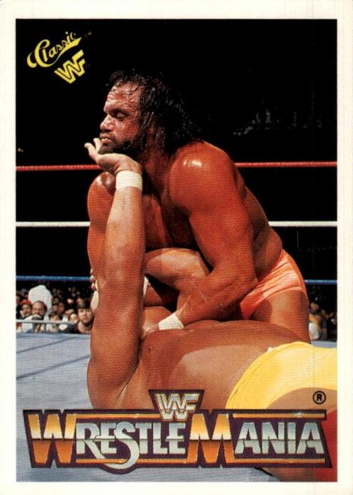 Hulk Hogan, 'Macho Man' Randy Savage #96