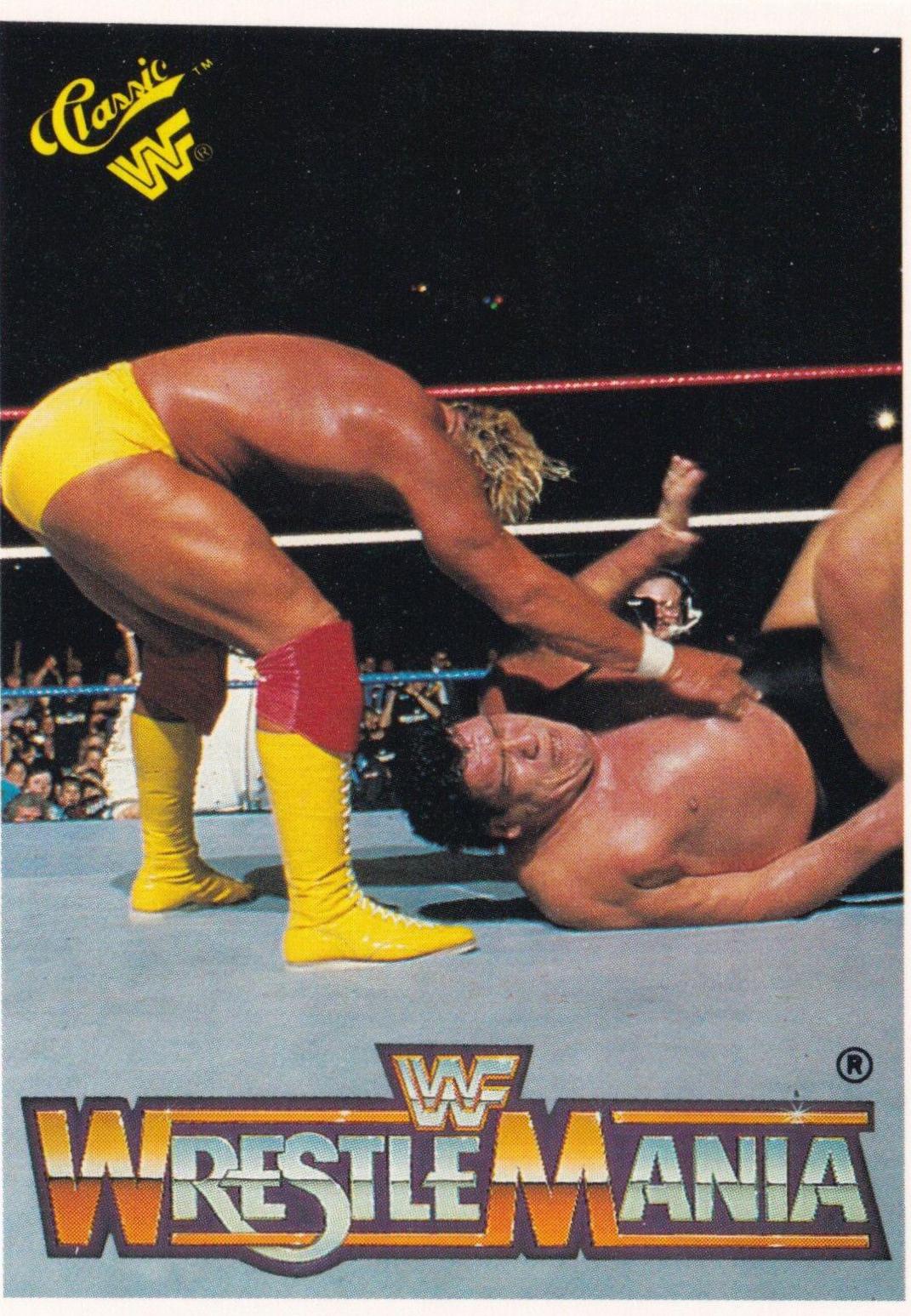 Hulk Hogan, Andre the Giant #27