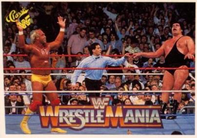 Hulk Hogan, Andre the Giant #37