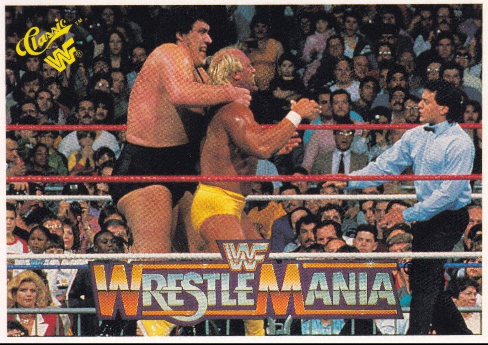 Hulk Hogan, Andre the Giant #38