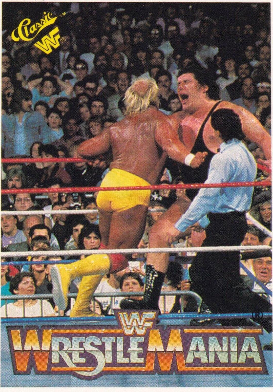 Hulk Hogan, Andre the Giant #39