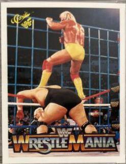 Hulk Hogan, King Kong Bundy #14