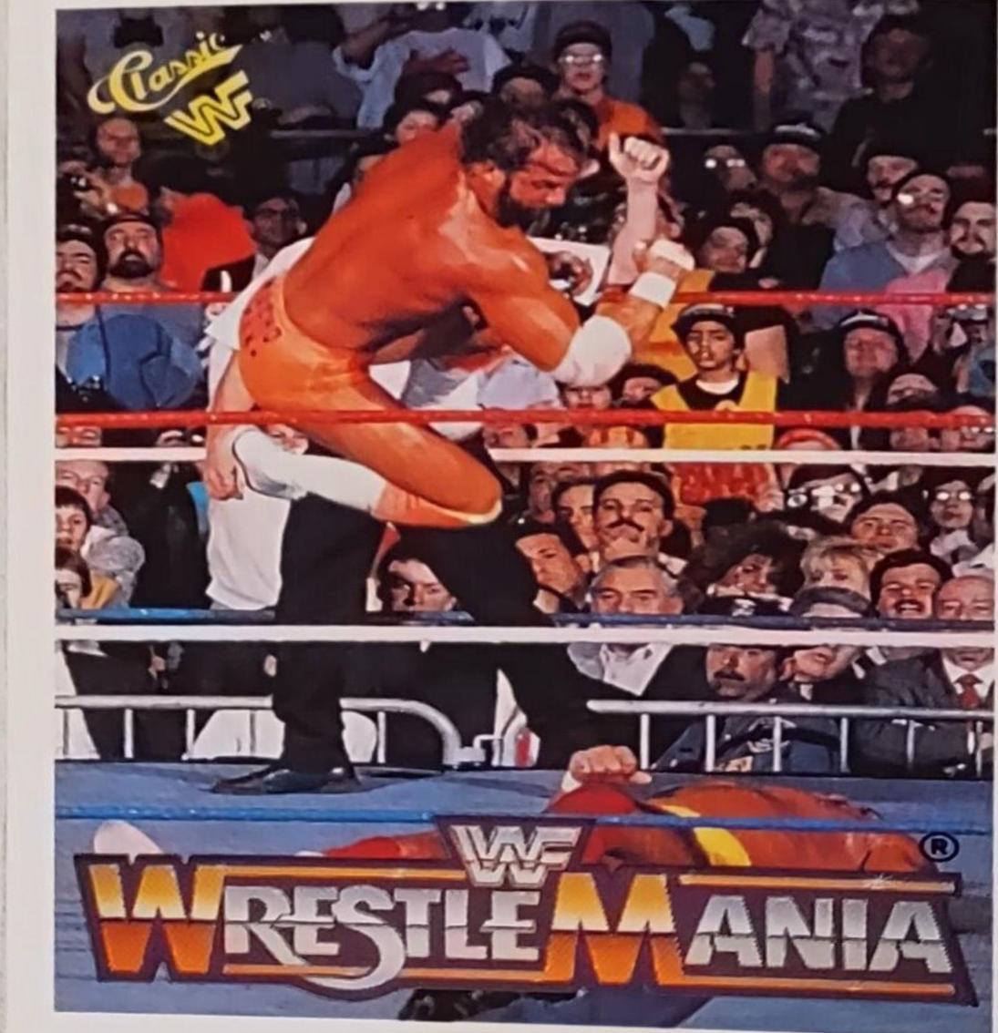 Hulk Hogan, Macho Man Randy Savage #99