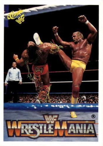 Hulk Hogan, Ultimate Warrior #132