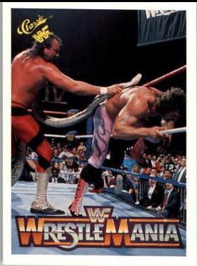 Jake 'The Snake' Roberts, Rick Rude #60