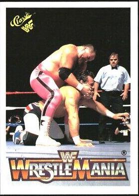 Jim Neidhart, Dynamite Kid #20
