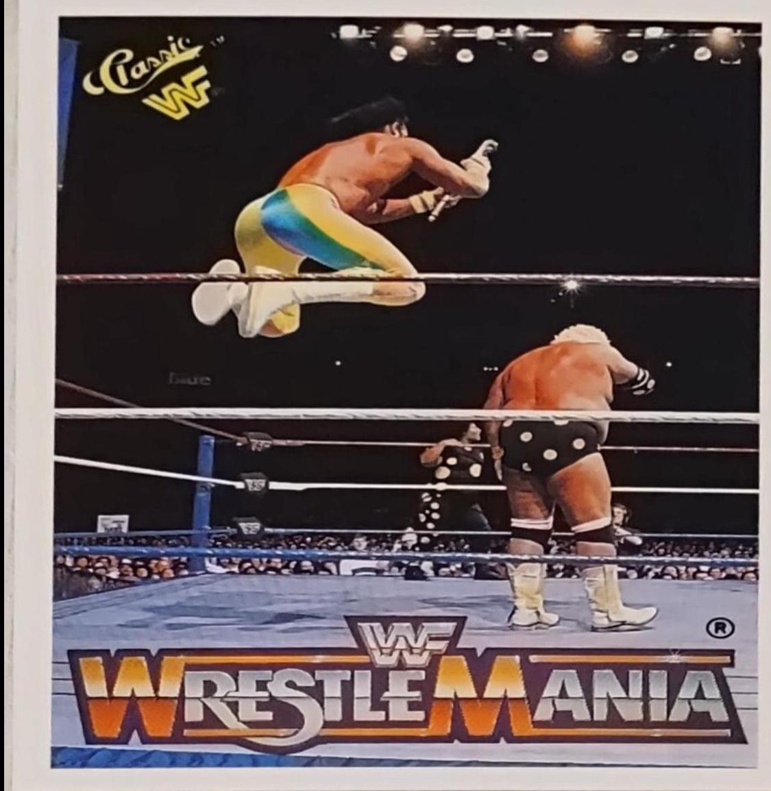 Macho King' Randy Savage, Dusty Rhodes #121