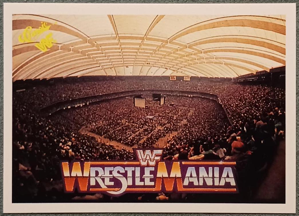 Pontiac Silverdome #23