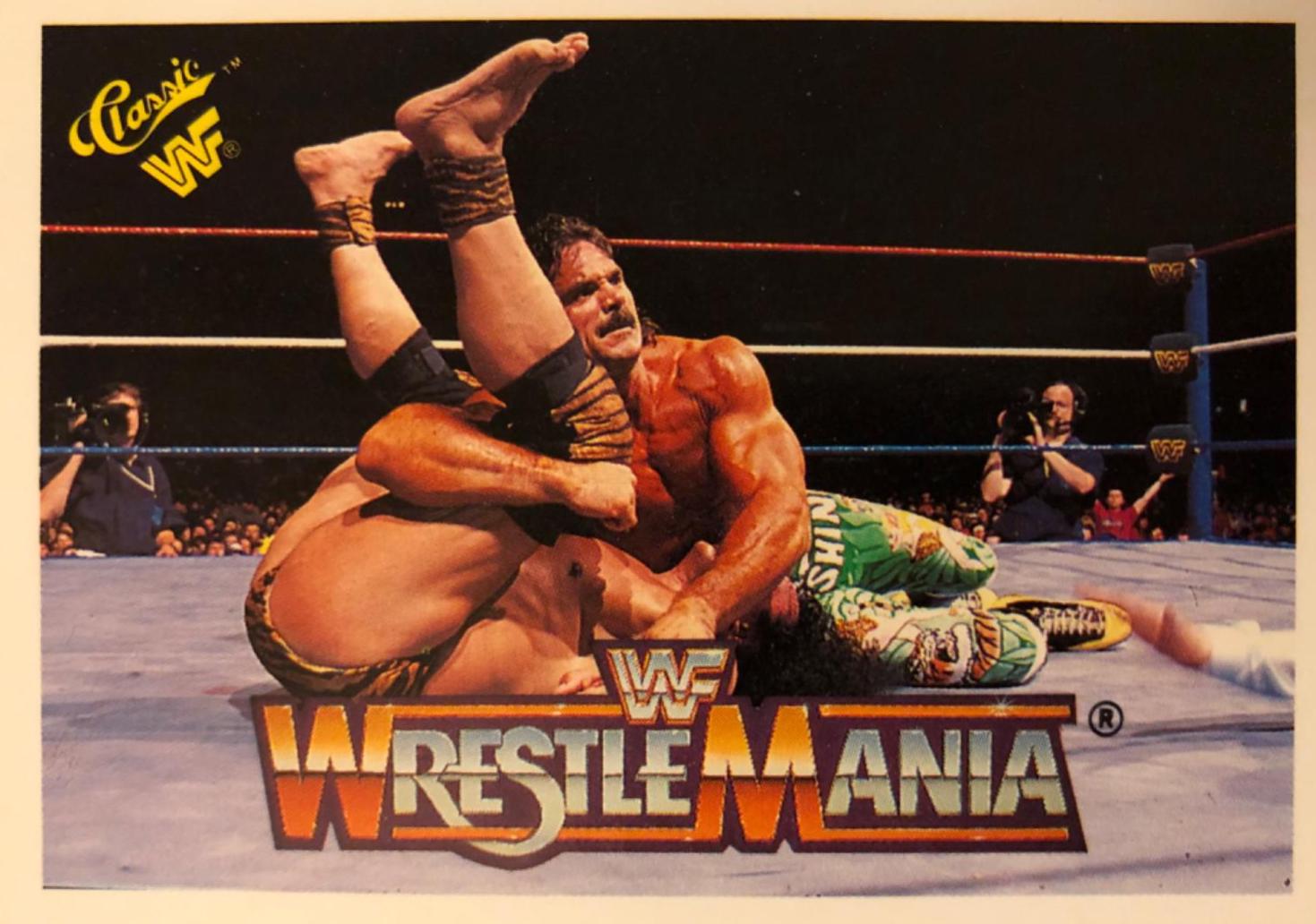 Ravishing' Rick Rude, 'Superfly' Jimmy Snuka #138