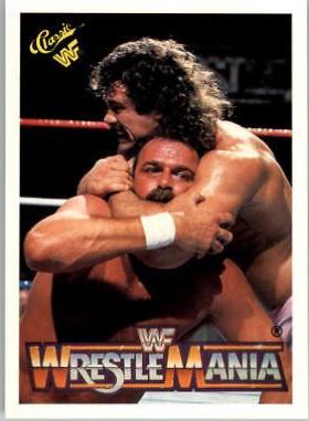 Ravishing' Rick Rude, Jake 'The Snake' Roberts #47
