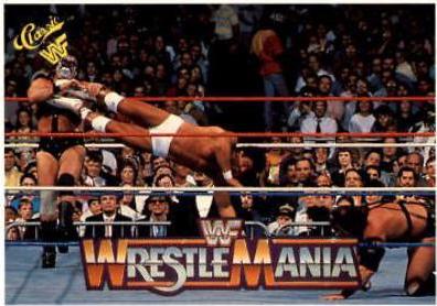 Rick Martel, Demolition #45