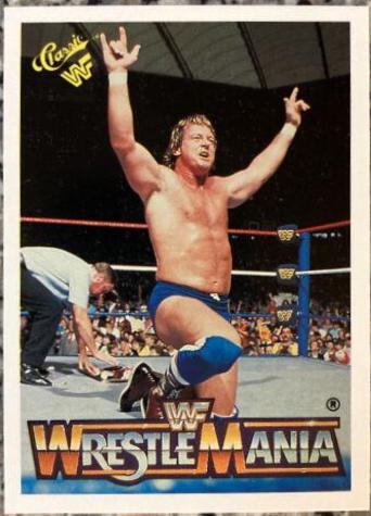 Rowdy Roddy Piper #18