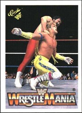 Sato, Shawn Michaels #131