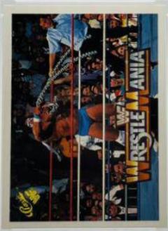 Ultimate Warrior #65