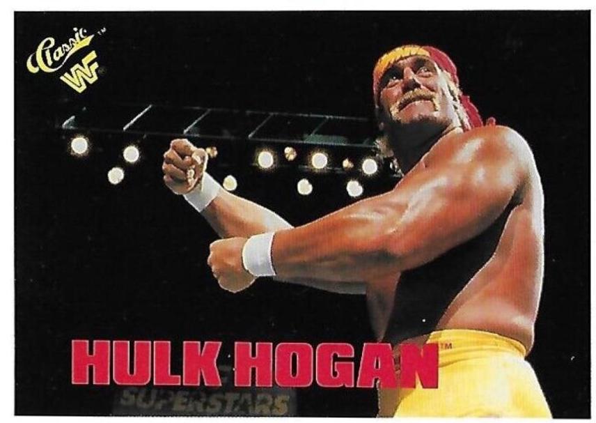 Hulk Hogan #102