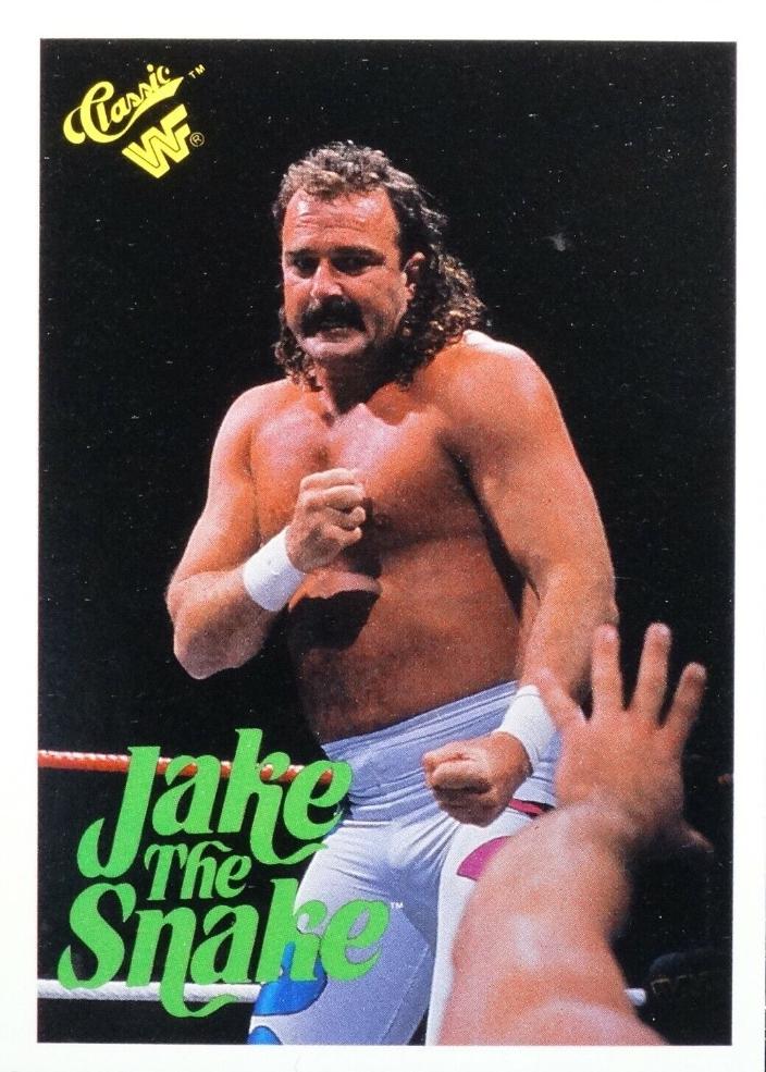 Jake 'The Snake' Roberts #63