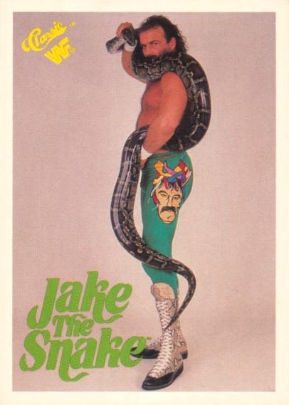 Jake 'The Snake' Roberts #7