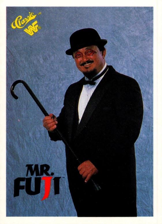 Mr. Fuji #22
