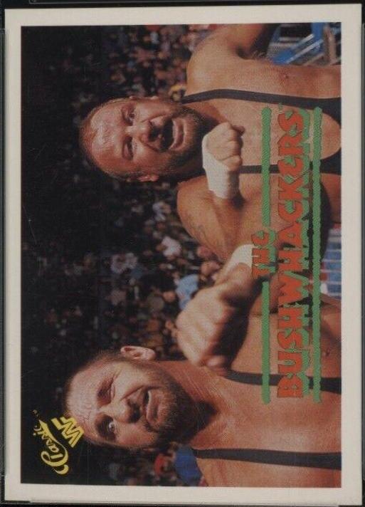The Bushwhackers #132