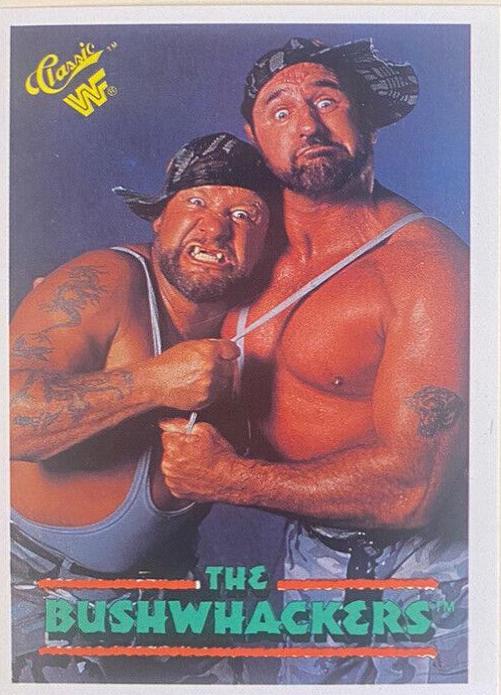 The Bushwhackers #15