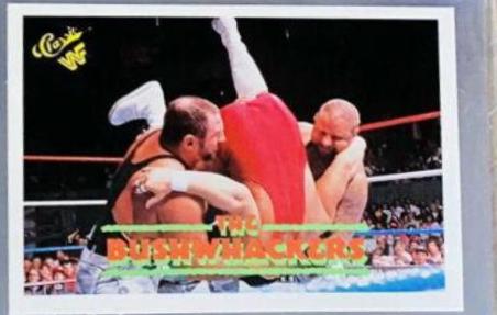 The Bushwhackers #47