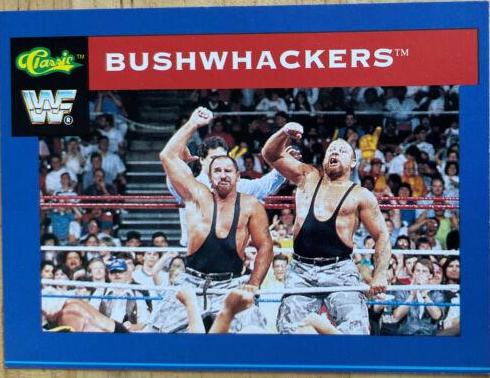 Bushwhackers #15