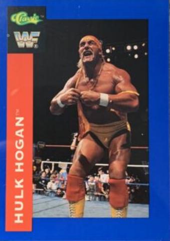 Hulk Hogan #123