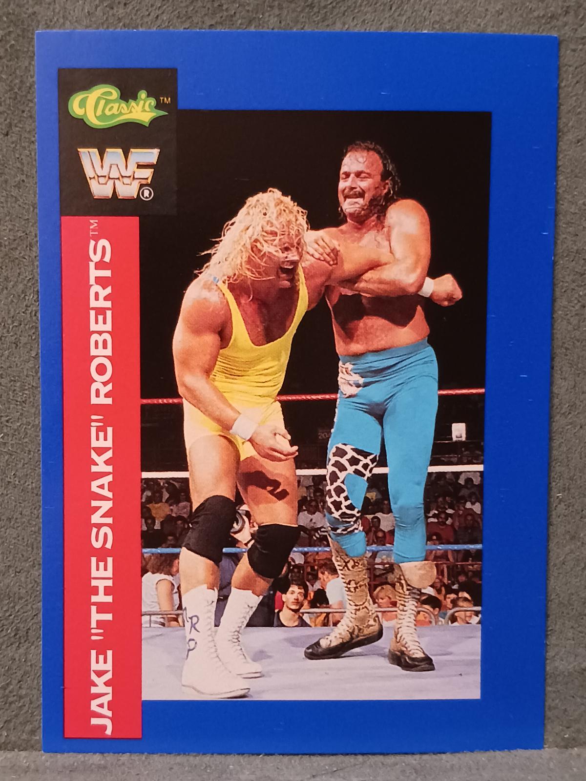 Jake Roberts #127