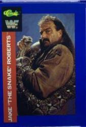 Jake Roberts #39