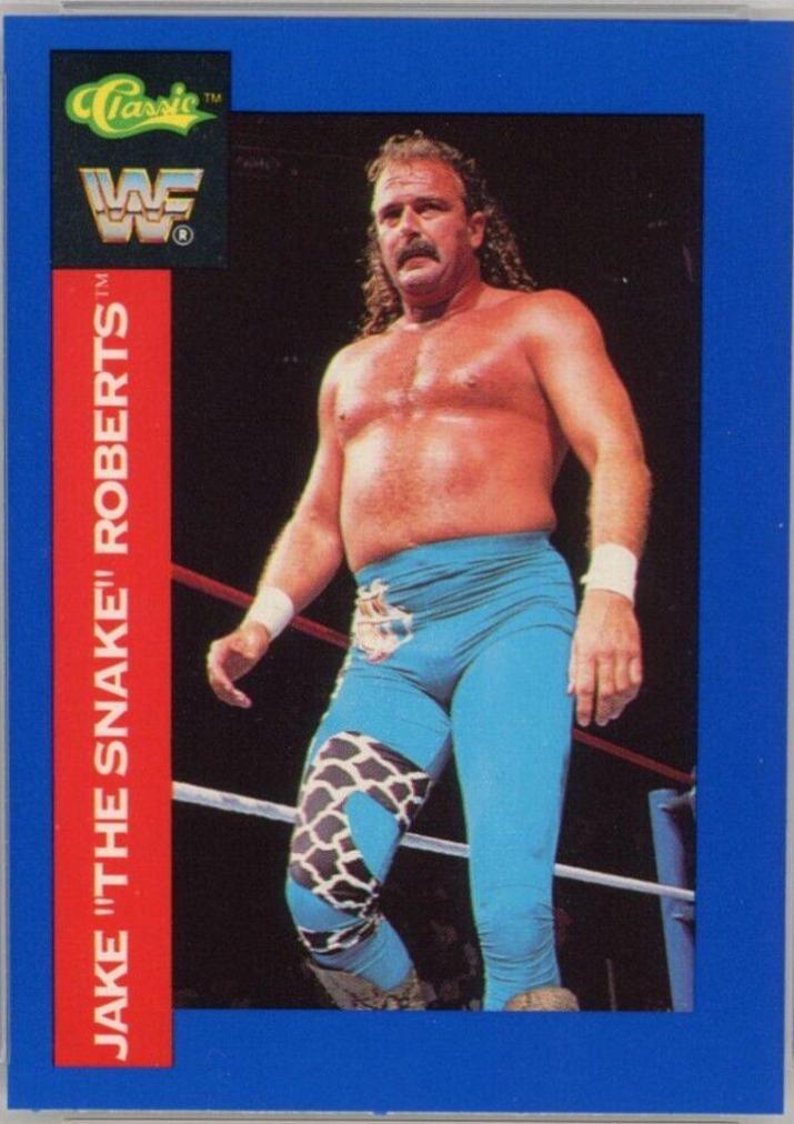 Jake Roberts #73