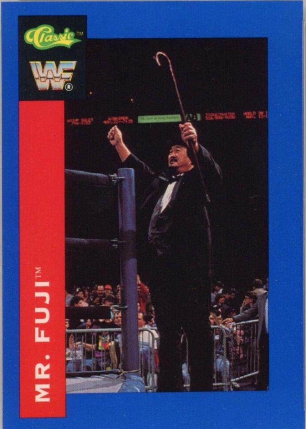 Mr. Fuji #47
