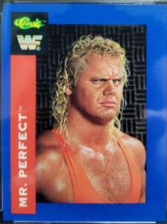 Mr. Perfect #113