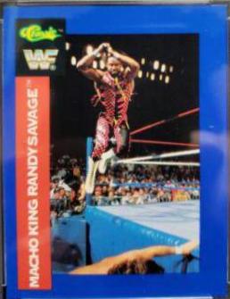 Randy Savage #118