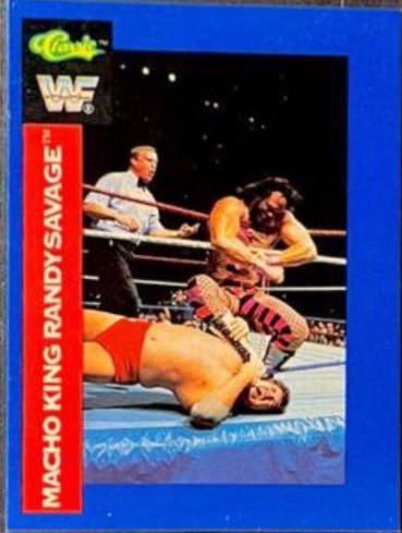 Randy Savage #148