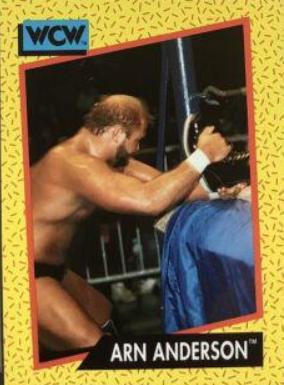 Arn Anderson #49
