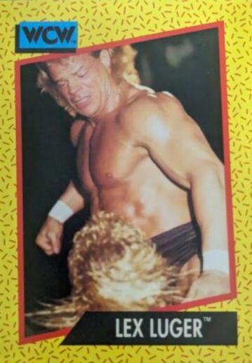 Lex Luger #15
