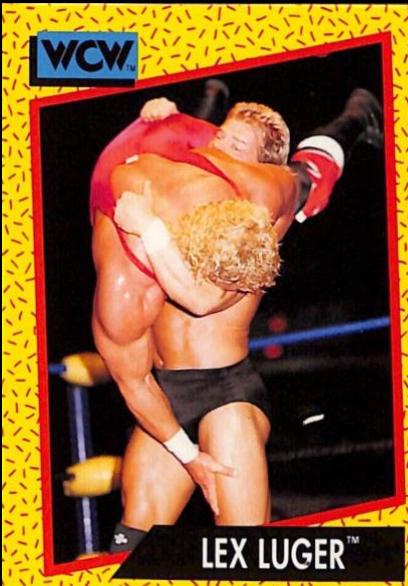 Lex Luger #16